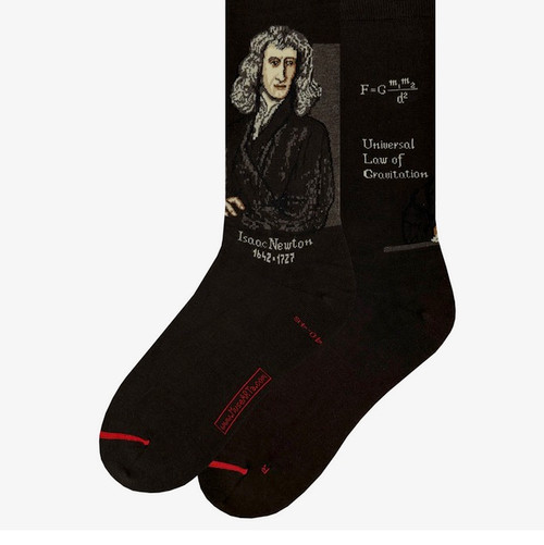 Brown socks with an image of Isaac Newton and his formulas