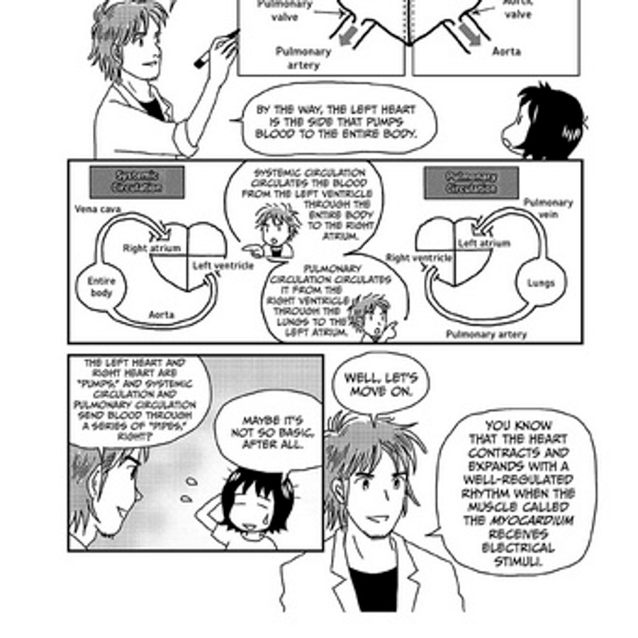 Manga guide to Physiology book illustrations