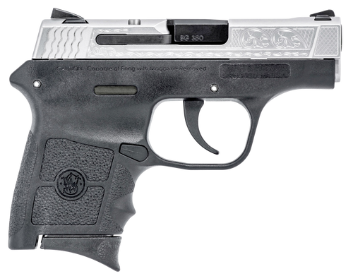 Smith & Wesson M&P Bodyguard 380 ACP 2.75" Black 109381