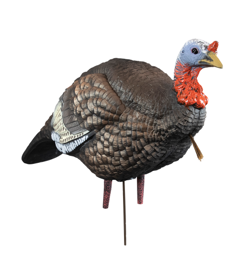 Higdon Outdoors Hard Body 1/4 Strut Jake Decoy 63144