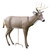 Primos Scar Deer Decoy 62601