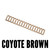 ERGO Picatinny Rail Cover Coyote Brown 4373-3PK-CB