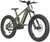 QuietKat Inc Rubicon Electric Bike Military Green 23RBC10GRN17