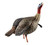 Avian X HDR Jake Decoy AVX-AVX8105