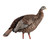 Avian X HDR Hen Decoy AVX-AVX8106