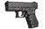 Glock 30 Gen4 45 ACP Black PG3050201