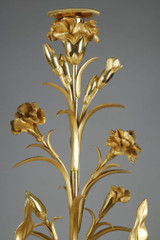 Канлельно вазы в позолоченной бронзе