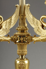 Flambeaux électrifiés