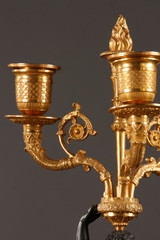 PAIR OF GILT BRONZE AND PATINA CANDELABRA, RESTORATION PERIOD