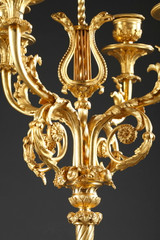 Paar Kandelaber im Stil Louis XVI