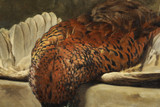 Faisan peint par Léopold Durangel