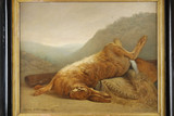 Lièvre représenté dans une peinture ancienne