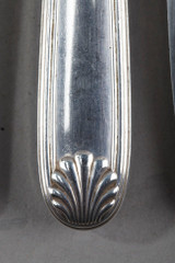 Shell-shaped cutlery