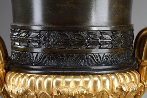 Charles X bronze vases