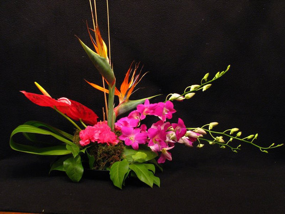 The Exotic Design - Flower Store Lake Forest IL - Jan Channon Flowers