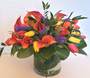 Woman of Valor....Island Paradise - Sending Flowers Lake Forest IL - Jan Channon Flowers