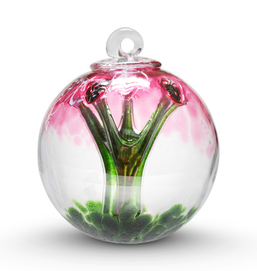 Spirit Tree "Red Bud"  4 Inch
