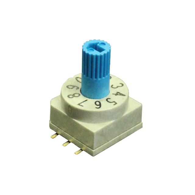 CIT Relay and Switch RD10RB10CGT DIP Switch
