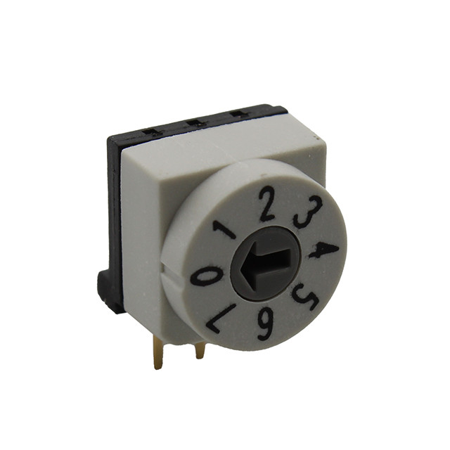 CIT Relay and Switch RD10RA8RVAT DIP Switch