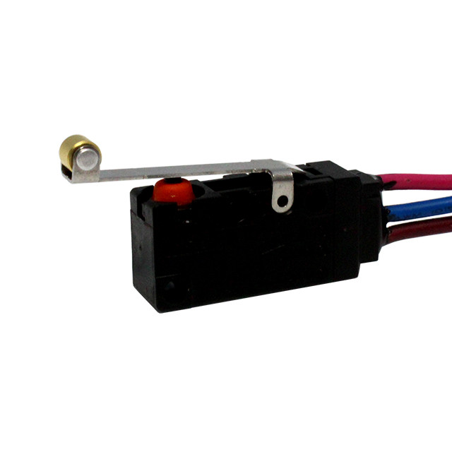 CIT Relay and Switch VM3SCGF3003L01 Basic, Snap-Action Switch