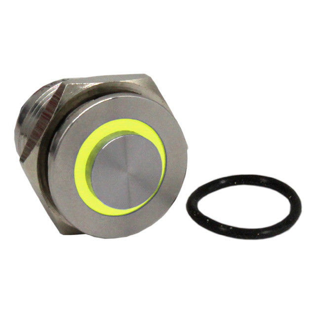 CIT Relay and Switch BH16NESBY Pushbutton Switch