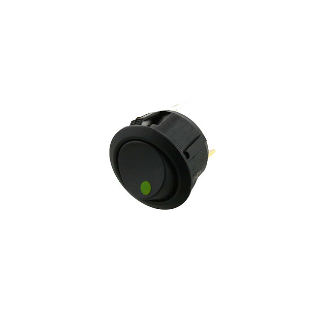 Switch Components RAS2-1A-DC-2-GL Rocker Switch