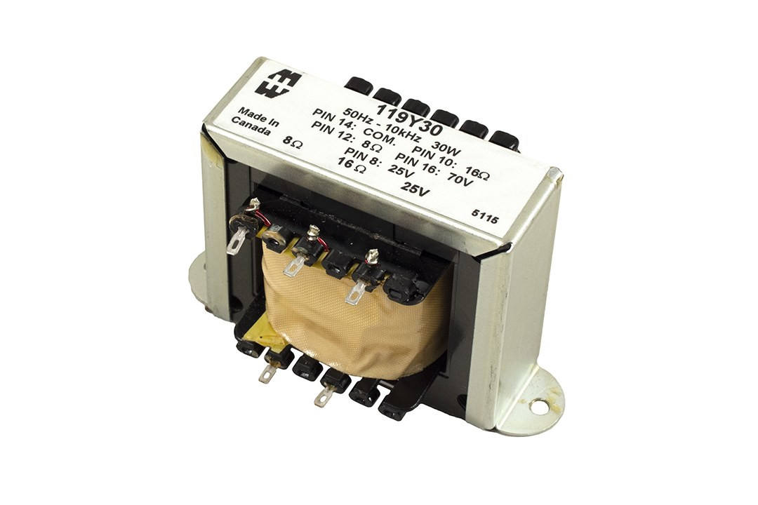 Hammond 119Y100 30 W Audio Transformer