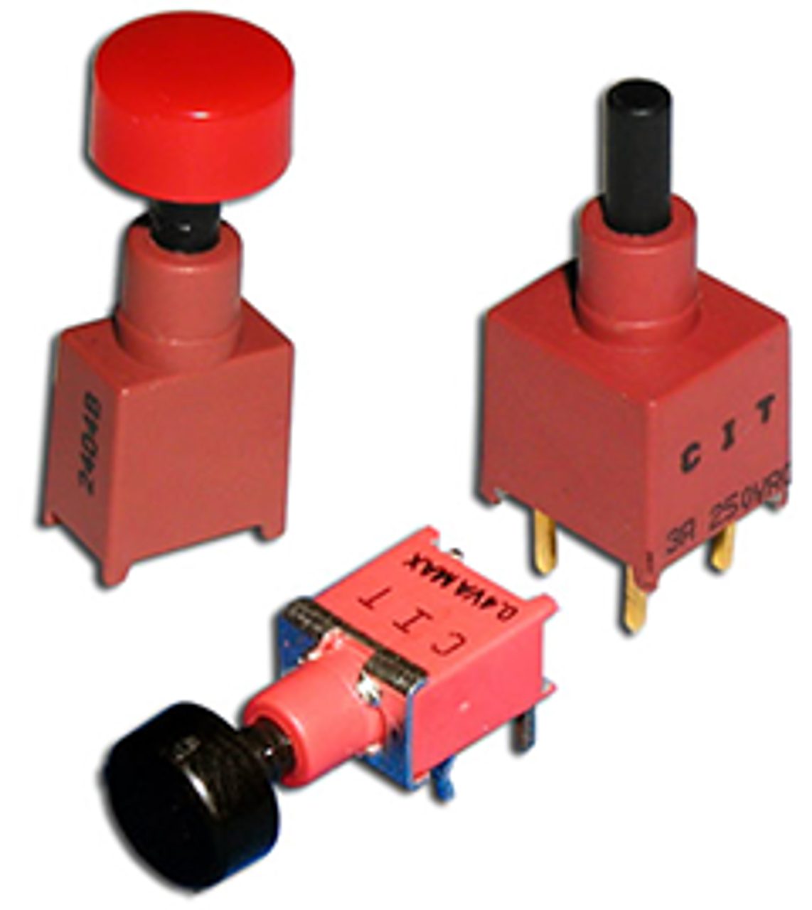CIT Relay and Switch BSP20TBQC842 Pushbutton Switches
