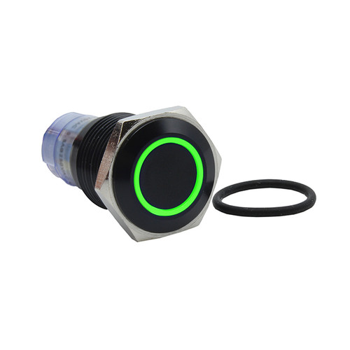 CIT Relay and Switch CH1NBBG24S Pushbutton Swtich