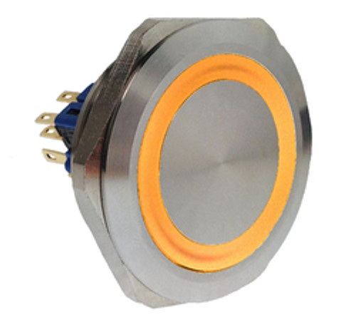 E-Switch PV10F2Y0SS-304 Anti-Vandal Switch