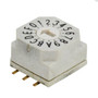 CIT Relay and Switch RD10AA16RGR DIP Switch