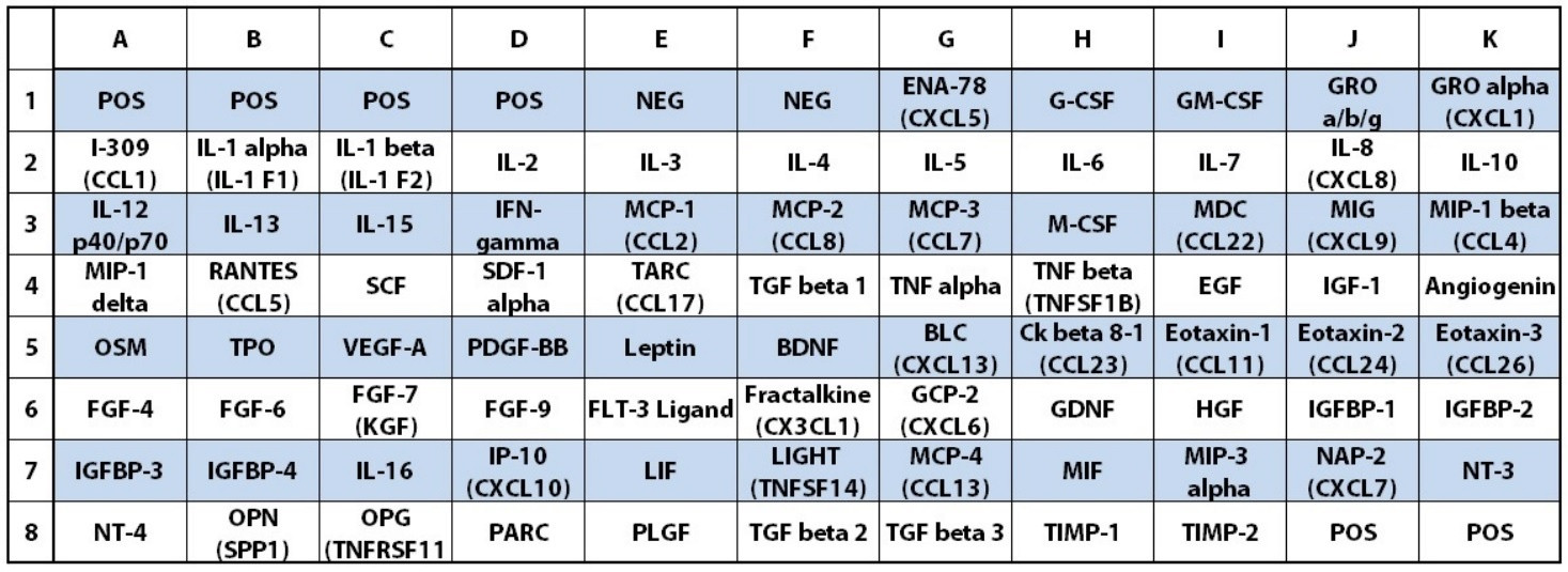 Cytokine Array C5 Target Map