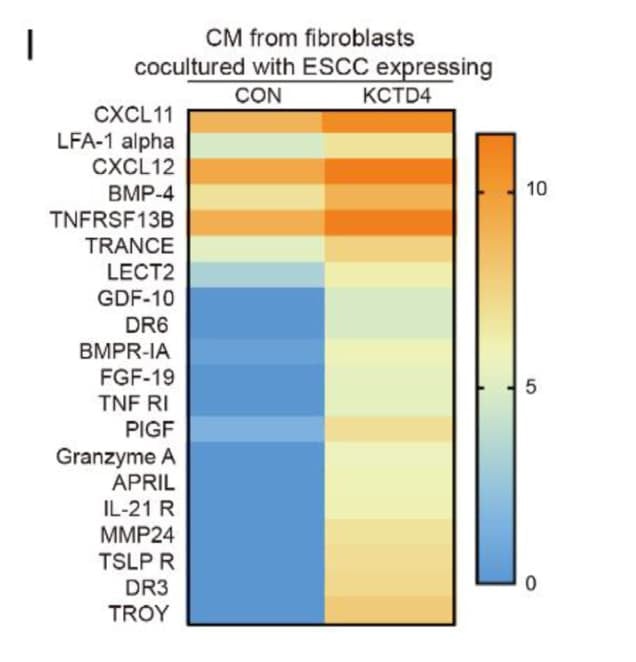 Figure adapted from Zheng et al., Acta Pharmaceutica Sinica B, 2023.