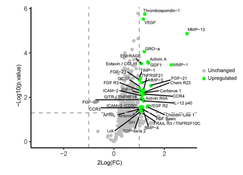 RayBiotech’s Human L507 Array, Glass Slide was used to detect basic calcium phosphate (BCP)-induced cytokine changes in osteoarthritic chondrocyte secretomes. Figure adapted from Stassen et al., Osteoarthritis and Cartilage, 2023.