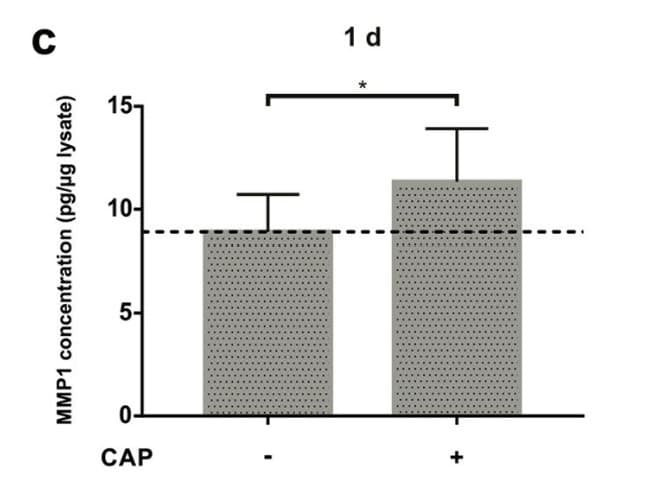 ELH-MMP1 was used to measure MMP1 levels in MG63 osteoblast-like cell culture supernatants following cold atmospheric plasma treatment. Figure adapted from Eggers et al., Odontology, 2020.