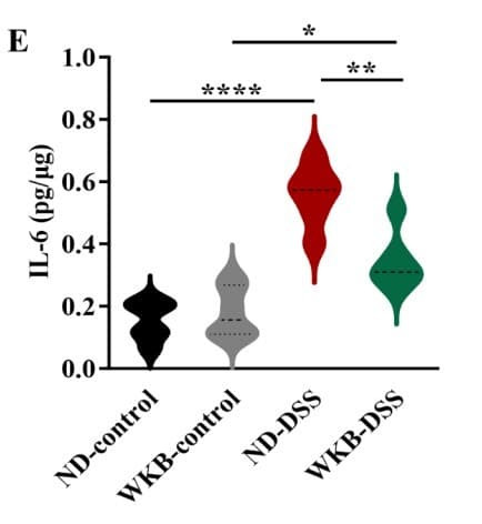ELM-IL6 was used to measure IL-6 in colon tissue homogenates in a DSS-induced colitis mouse model with dietary WKB intervention. Figure adapted from Sun et al., Journal of Translational Medicine, 2025.