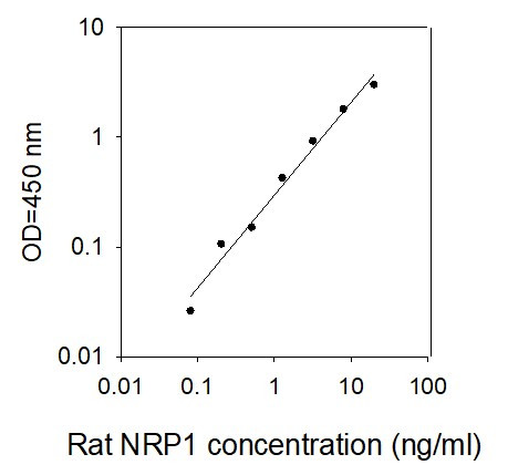 Rat Neuropilin-1 ELISA Kit Standard Curve