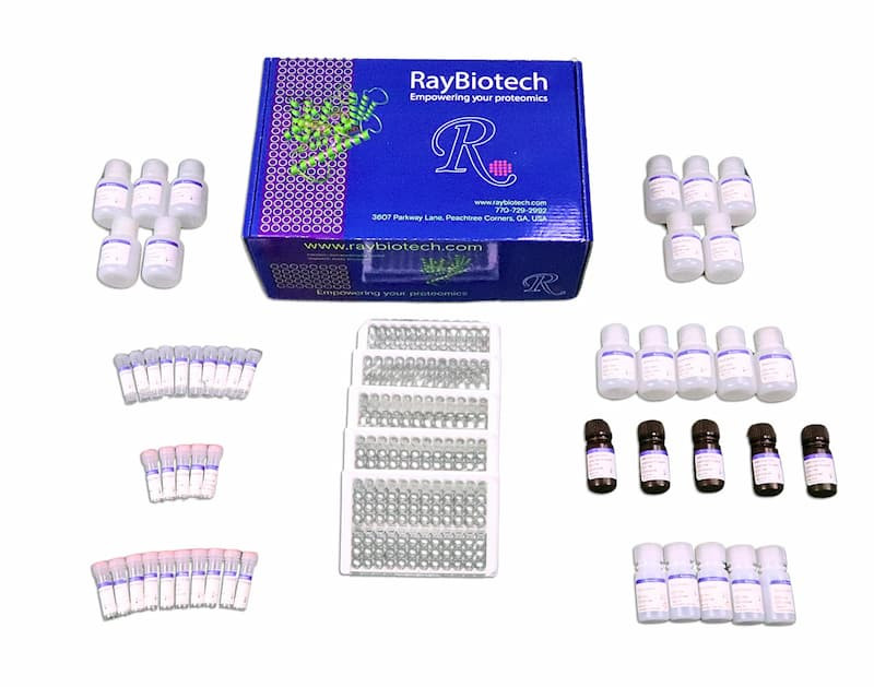 5 Plate Kit Packaging (one box)