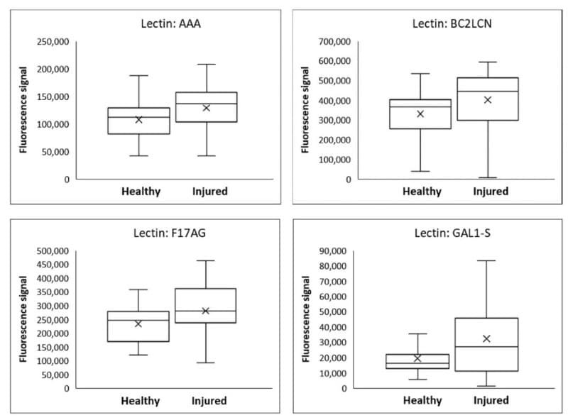 Figure adapted from Kvist et al., Diagnostics, 2023.