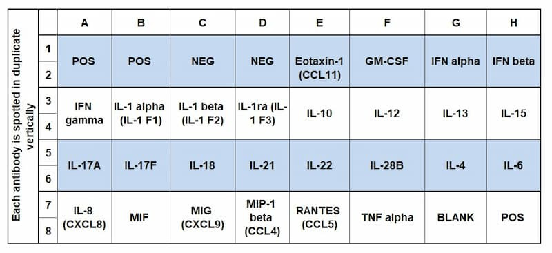 Porcine Inflammation Array C1 Map