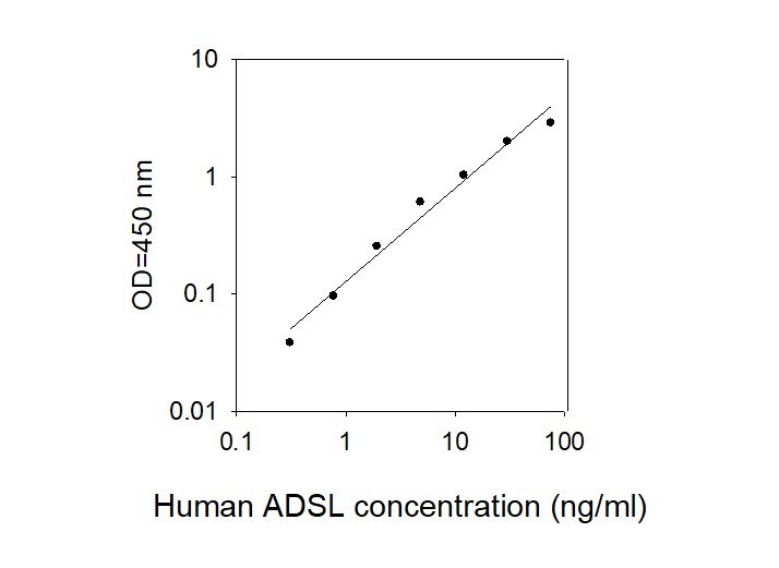 Human ADSL ELISA Kit Standard Curve