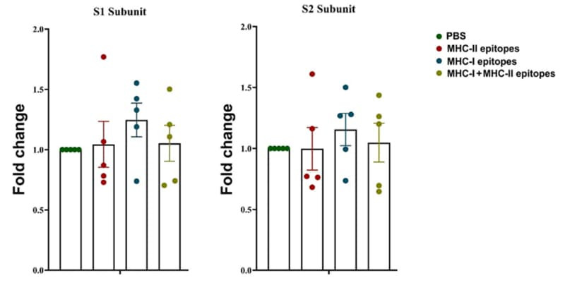 Figure adapted from Atanasova et al., Pharmaceuticals, 2024.