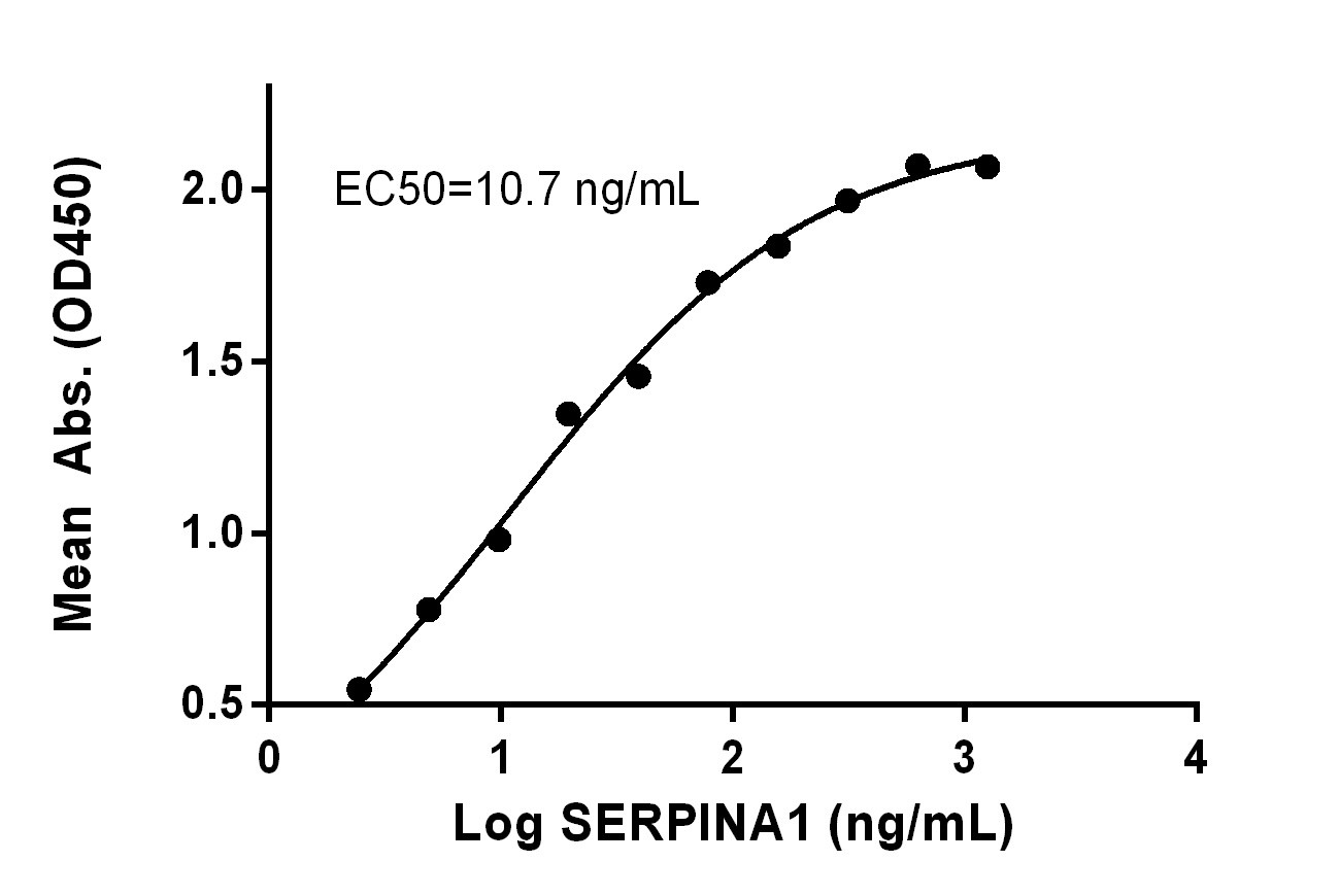 Measured by its binding ability in a functional ELISA. Immobilized recombinant human SERPINA1 (Code: 230-00209) can bind rabbit anti-human SERPINA1 with EC50 at 10.7 ng/mL.