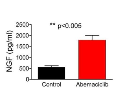 The Human β-NGF ELISA Kit (ELH-BNGF) was used to quantify NGF secretion in conditioned media from glioma-initiating cells following CDK4/6 inhibitor treatment. Figure adapted from Olmez et al., Cancer Research, 2018.