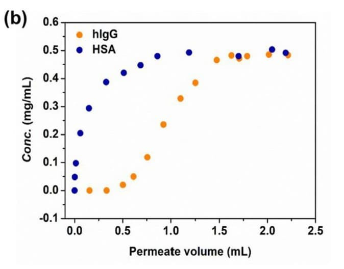 ELH-IGG was used to quantify human IgG recovery from diluted human serum following purification with polyVIM material. Figure adapted from Lei et al., Journal of Chromatography A, 2020.