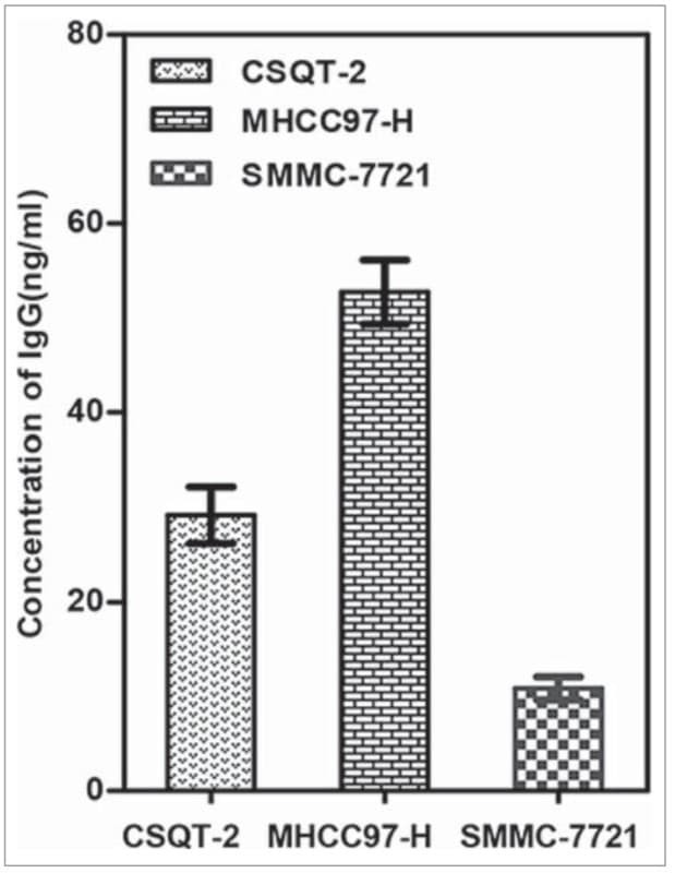 ELH-IGG was used to quantify IgG conc. in supernatants of hepatocellular carcinoma cell lines, demonstrating that HCC cells secrete IgG with higher levels observed in highly metastatic lines. Figure adapted from Yi et al., OncoImmunology, 2015.