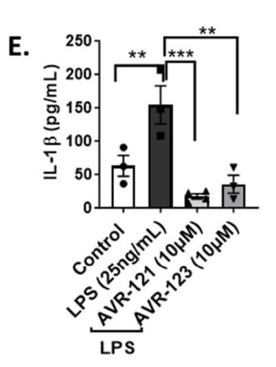 ELH-IL1b was used to measure IL-1β in THP-1 cell supernatants following LPS stimulation and treatment with AVR-121 or AVR-123. Figure adapted from Dayoub et al., Cells, 2024.