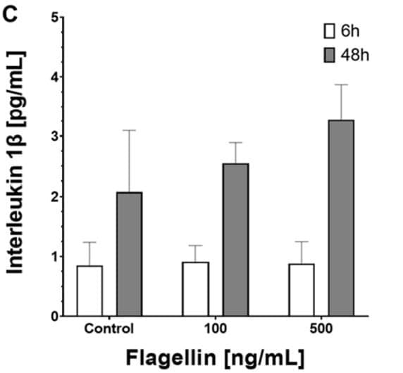 ELH-IL1b was used to measure IL-1β in hiPSC-derived cardiomyocyte culture supernatants following 6- and 48-hour exposure to bacterial flagellin. Figure adapted from Yuecel et al., Int. J. Mol. Sci., 2023.