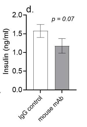 ELH-Insulin was used to measure plasma insulin levels in mouse models of metabolic syndrome treated with asprosin-neutralizing antibodies. Figure adapted from Mishra et al., eLife, 2021.