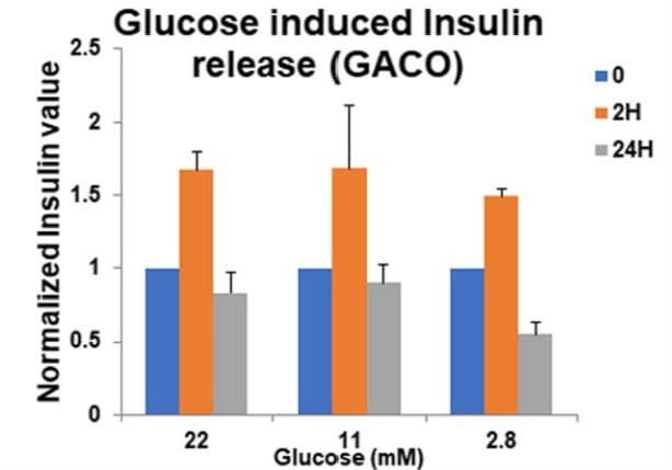 ELH-Insulin was used to quantify glucose-stimulated insulin secretion from human iPSC-derived pancreatic organoids cultured in GACO scaffolds. Figure adapted from Sandilya & Singh, Cell Regeneration, 2021.